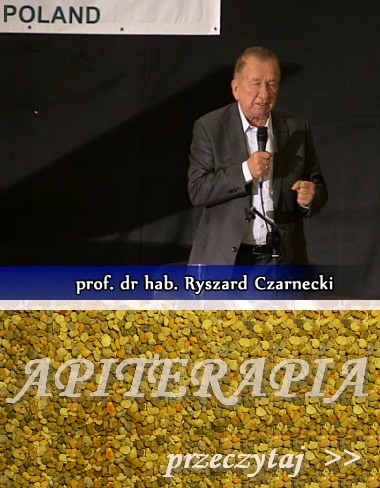 Prof. dr hab. Ryszard Czarnecki